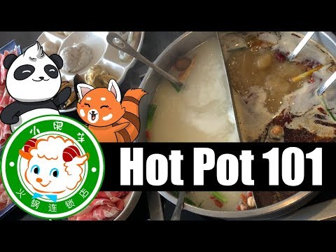 download lagu mp3 mp4 Little Sheep Pot, download lagu Little Sheep Pot gratis, unduh video klip Little Sheep Pot