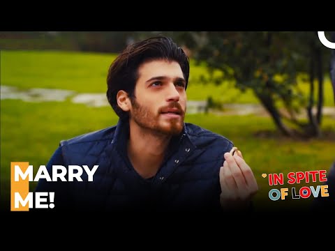 A Proposal Worthy Of A Plank - In Spite Of Love Episode 94