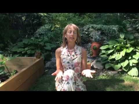 Mother Earth Meditation/Jill Michelle/Grounding, Clearing and Healing Meditation