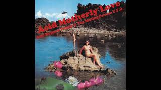 Acid Mothers Temple & the Melting Paraiso U.F.O. / Acid Motherly Love