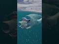Fish Eat Fish Bloop Vs El Gran Maja Vs Sea Eater