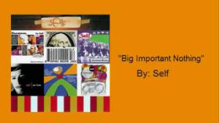 Self- "Big Important Nothing"