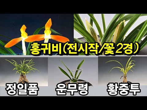 유튜브 썸네일
