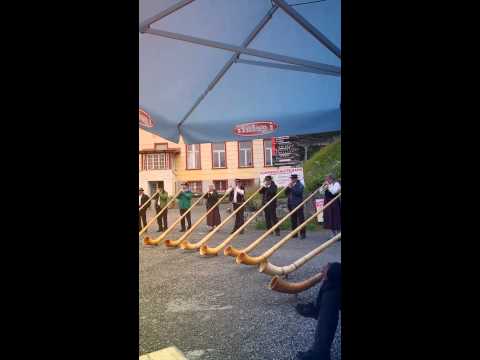 Eidgenössisches Jodlerfest 2014 Davos alphorn