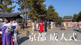 [問題] 一月京都大阪八日遊行程請益