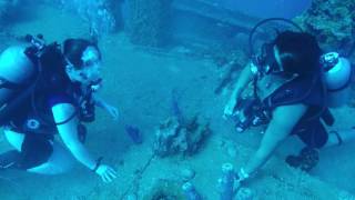 She said "OK" - 2016 Proposal on The Aguila