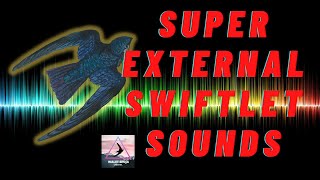 Download lagu Suara panggil Walet Edisi Lebaran 2022 | Super External Switlet Sounds mp3