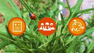 MOOC "Santé des Plantes"