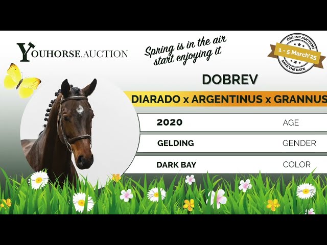 Dobrev showvideo