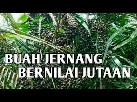 Cara alami untuk meningkatkan potensi Ini mempengaruhi bersepeda pada potensi