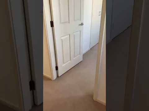 Executive house for rent in Khandallah