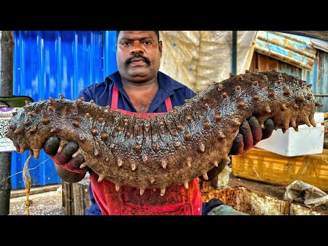 Never Seen Before! Giant Size Fish Cutting at Hidden Paradise Seaside Market Masterclass