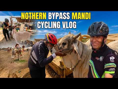 Nothern Bypass Mawaishi Mandi Karachi | Largest Cattle Market Northern Bypass | Cycling Vlog 🚴‍♂️🐂