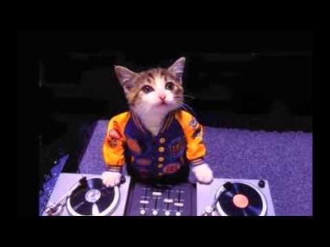 Deadmau5 vs Showtek & Justin Prime - Ghosts and Cannonballs (Skarteem MashUp)