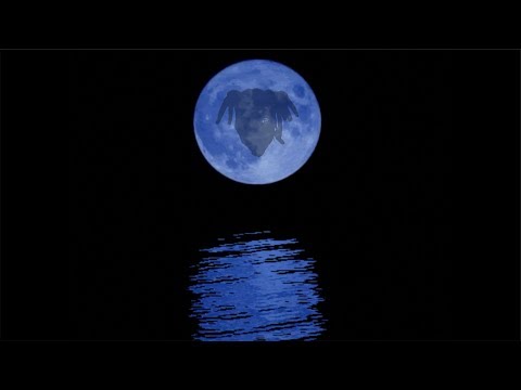 [FREE] Denzel Curry Type Beat - "AQUARIUS" | Prod Haaga x fewtile