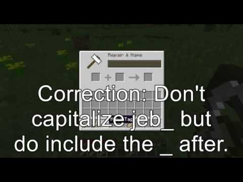 Horse Taming and Naming!