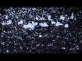 Lillevan + Fennesz "Saffron Revolution / Rain" HD