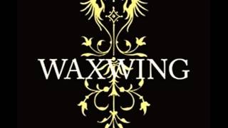 Waxwing - Intervention