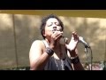 Lisa Fischer, How Can I Ease The Pain, Brooklyn ...