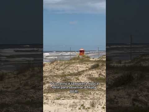 😱 Terra de Areia fora da BR-101: o litoral secreto do Rio Grande do Sul!