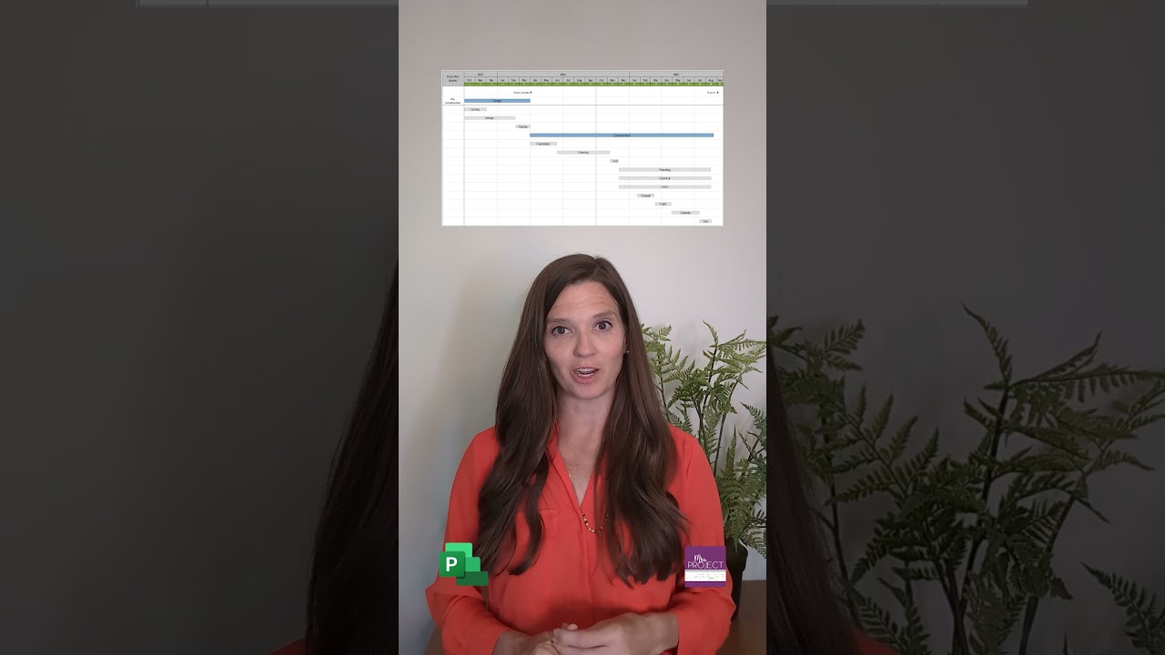 Integrated Master Plan (IMP) - Project Management