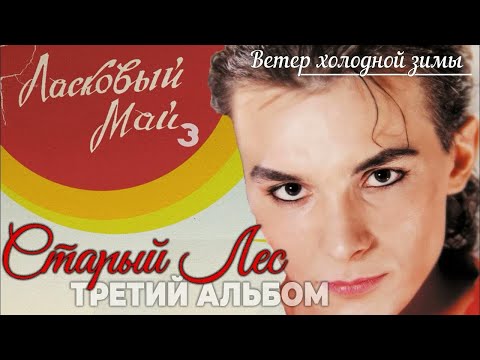 Ласковый май (Солист Андрей Разин) - Вечер холодной зимы (Музыкальное видео)