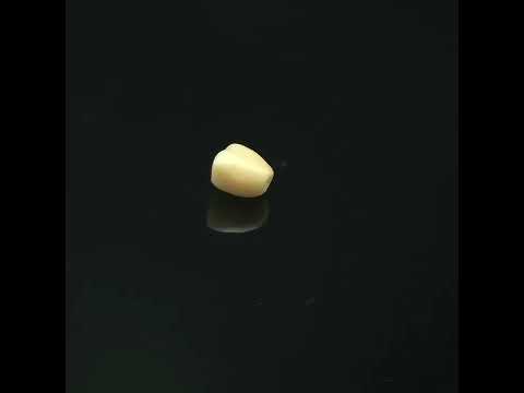 YouTube 썸네일