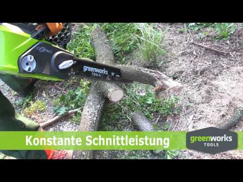greenworks kettensaege gross 22 08 cut