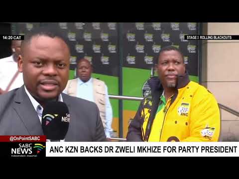 Why ANC KZN is backing Dr Zweli Mkhize for party president