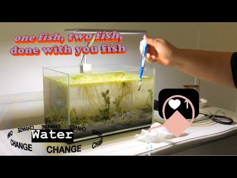 Water change on my 3n Nano UNS tank