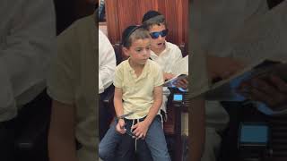 אלקה דמאיר ענני - בין הזמנים בקברו של רבי מאיר בעל הנס
