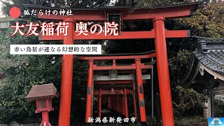 [Shibata City] A fantastical world of rows of torii gates at Otomo Inari Shrine's inner sanctuary