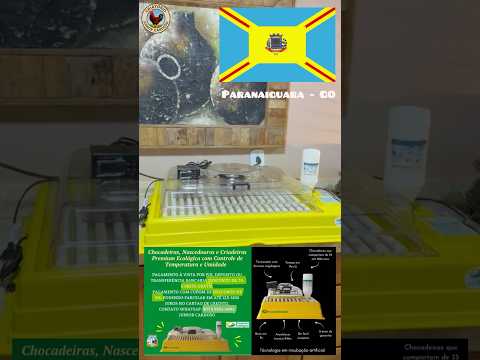 Paranaiguara, Goiás Recebe a Chocadeira IP 130D Premium Ecológica adquirida com Cupom de Desconto