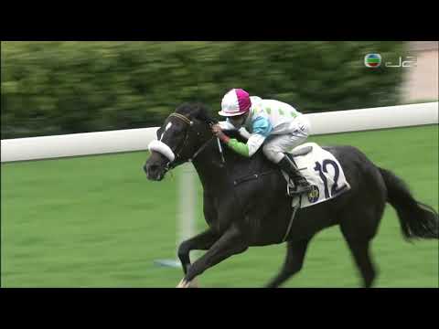 2019/20 (643) - Gallant Legacy (威武承傳) - 波健士