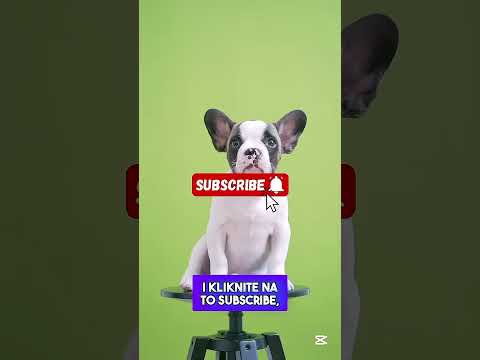 Baka je Htela da se Podmladi i OVO se Desilo!