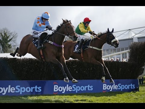 Fox Norton - BoyleSports Champion Chase