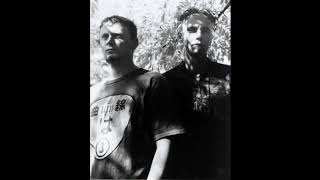 Front Line Assembly ‎– Sado-Masochist