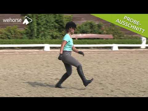 Fühlen lernen & Zusammenhänge begreifen | Dr. Britta Schöffmann