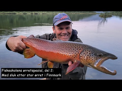 Fiskeskolens ørretspesial, del 2: Med sluk etter stor ørret i Finnmark