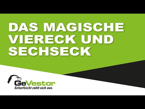 Das magische Viereck und Sechseck - Wirtschaftspolitik besser verstehen