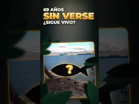 Este pez lleva 69 años SIN VERSE… ¿sigue vivo?