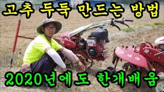 고추재배방법 고추두둑을 넓게 만드는 방법