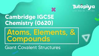 Giant Covalent Structures