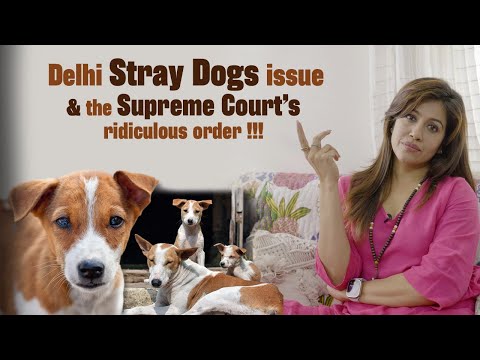 ¡El problema de los perros callejeros en Delhi y la orden ridícula de la Corte Suprema!