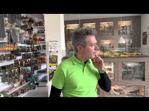 ChameleonFarm - HouseTour, ilyen a Farm belulről