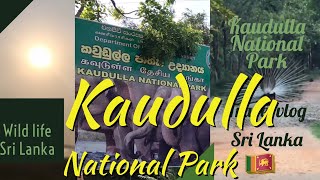 preview picture of video 'Kaudulla National Park '