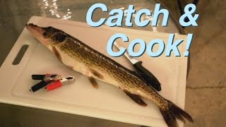 DOPE Pickerel Catch And Cook in New Hampshire