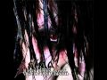 Randy Piper's Animal Turn and Walk Away.mp4 ...