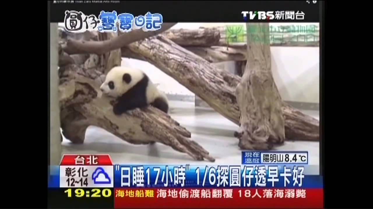 「日睡17小時」 1/6探圓仔透早卡好