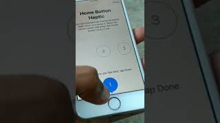 Iphone Home Button and Haptic